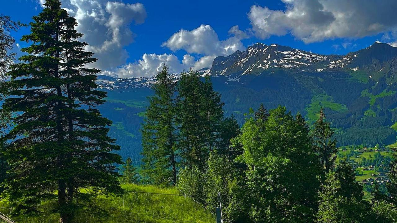 Romantisches Plaetzchen In Der Natur جريندلوالد المظهر الخارجي الصورة